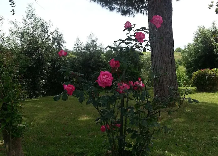 La Finestra Sul Cortile